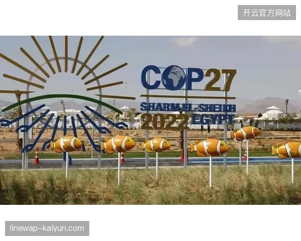 2026年全球赛事版权分发机制将彻底瓦解传统单向分发格局